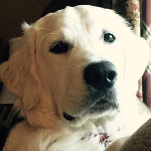 Meet your Posher, Bonnie